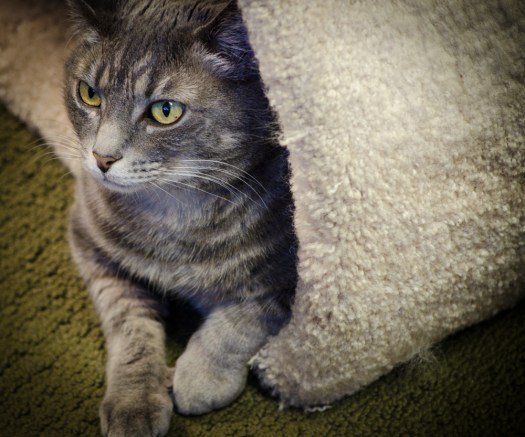 Maralee_Park_140513_64091