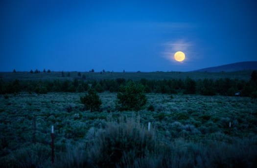 Maralee_Park_140514_64101_100_099-Edit