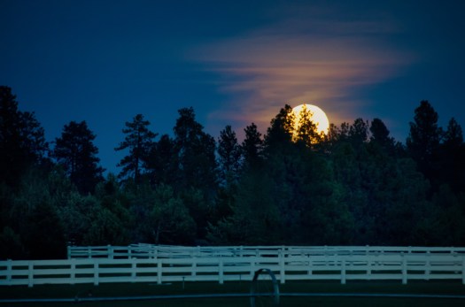 Maralee_Park_140514_64109-Edit