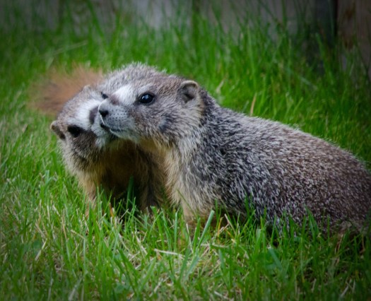 Maralee_Park_140515_64127-Edit