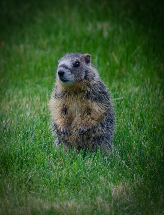 Maralee_Park_140515_64132-Edit