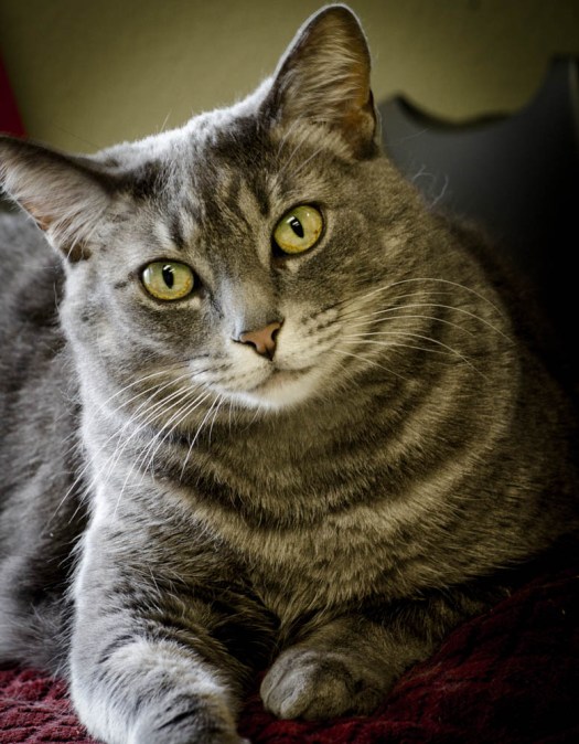 Maralee_Park_140515_64135