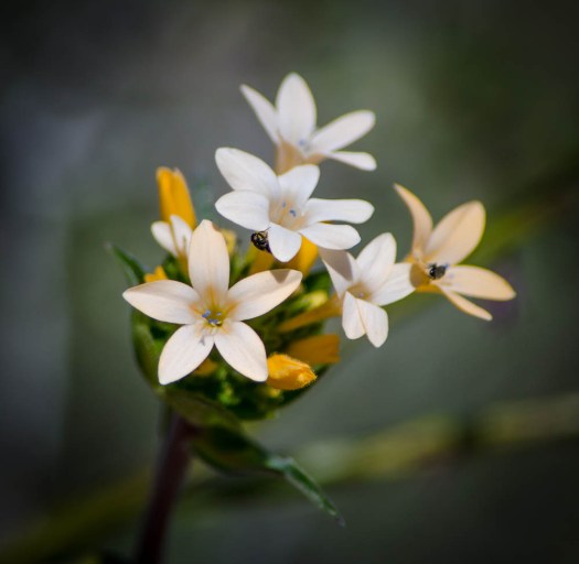 20140619-PilotButte00004