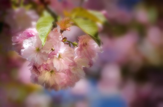 Maralee_Park_140512_64058-Edit