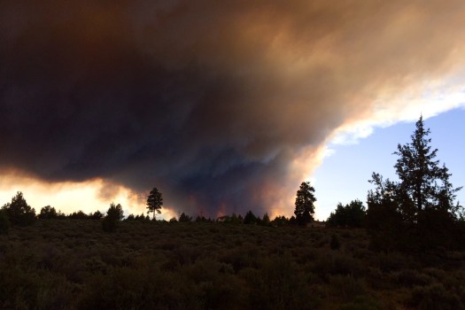 Taken across the street from my house