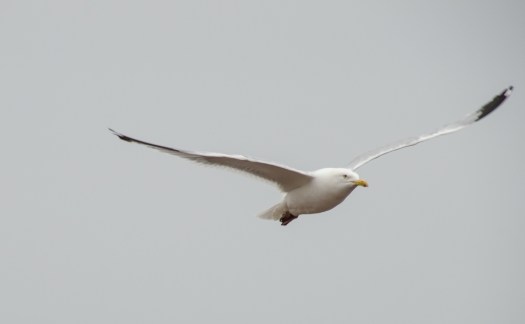 20140725-Minnesota-00091