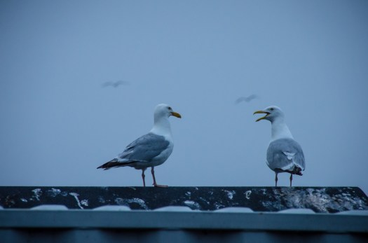 Let's go wake everyone up.  It's 5:30 already.