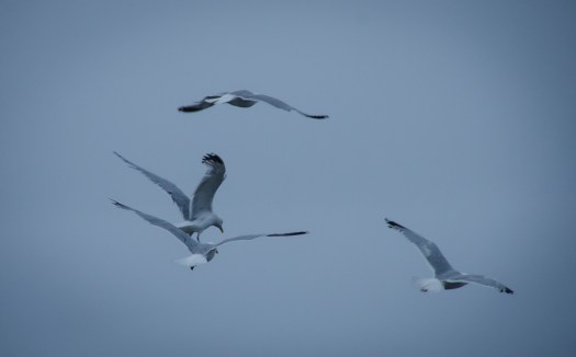 20140725-Minnesota-00215