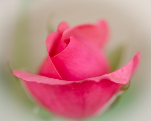 20140727-Minnesota-00567