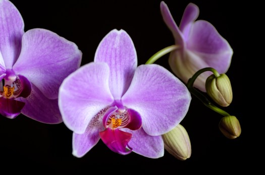 20140727-Minnesota-00608