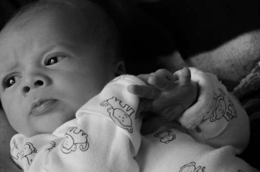 20140728-Minnesota-00640