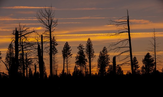 Maralee_Park_120308_18510-Edit