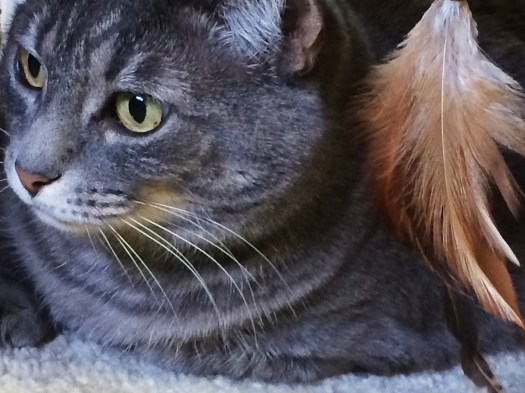 Miranda Friday 08.15.14