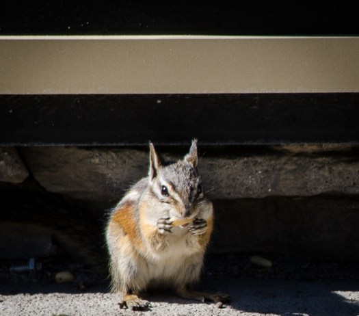 20140831-TwoOldHippies-00032