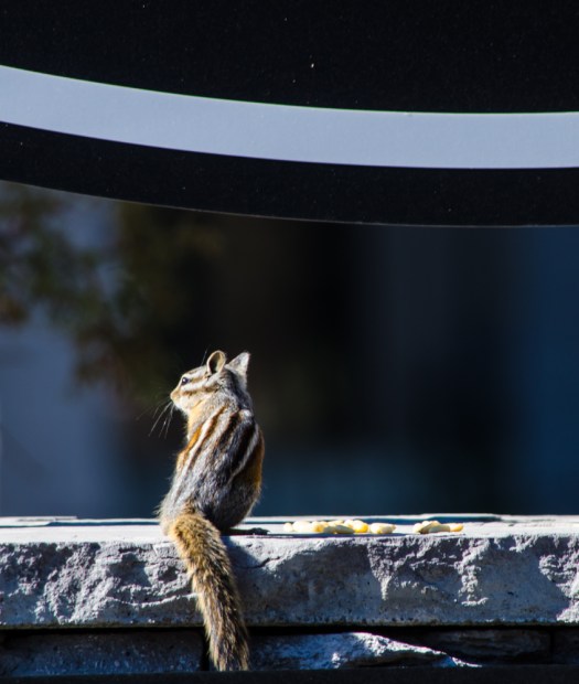 20140831-TwoOldHippies-00042