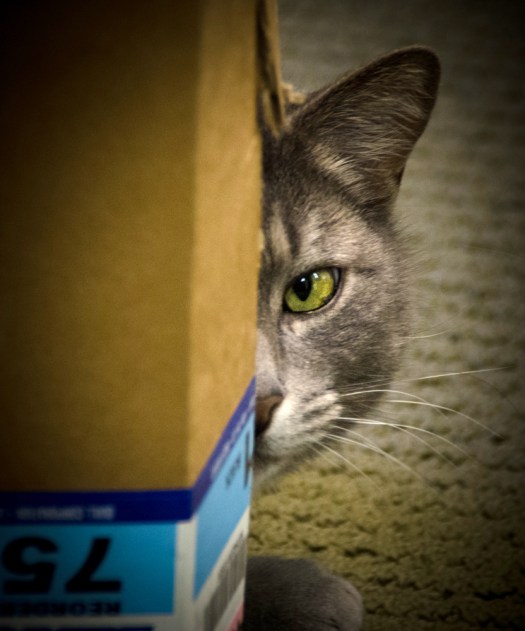 Maralee_Park_140109_59812