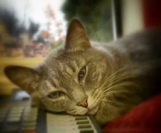 Miranda phone 09.26.14 a