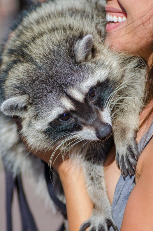 Pets-3009September 20, 2014DSC_3009