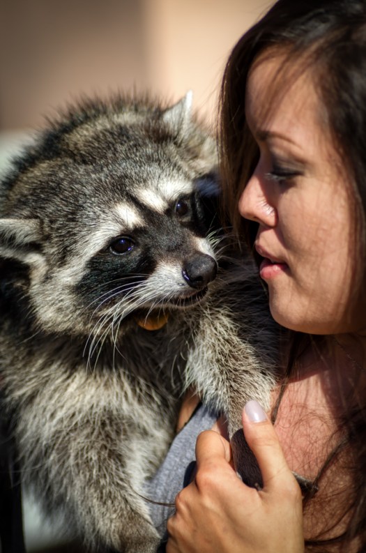 Pets-3012September 20, 2014DSC_3012