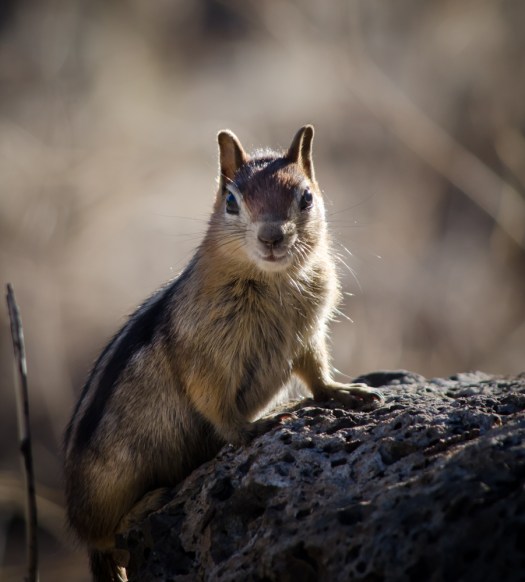 Tara.Clinton-3674September 26, 2014