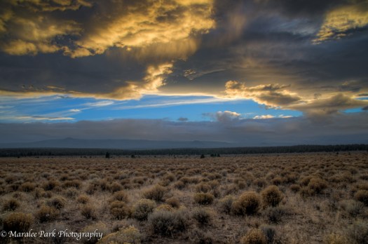 Frank-4567October 17, 2014And5more-2