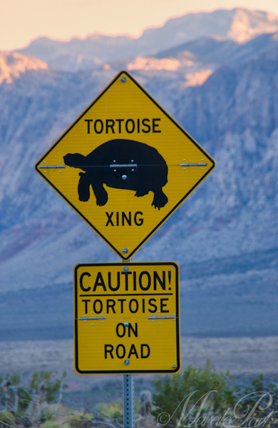 maralee_park_130606_48766-edit