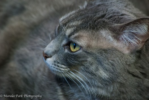 Maralee_Park_140509_63812