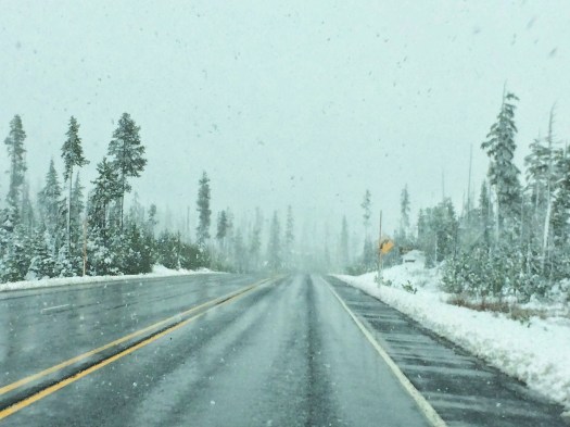 The sky really wasn't green. I took this with my iPhone through the front windshield so that may have something to do with it.