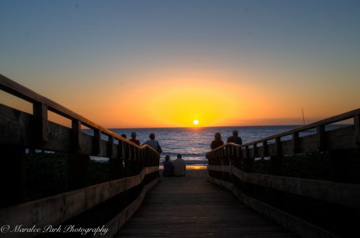 Hawaii 2014.Maralee-6735November 20, 2014And2more