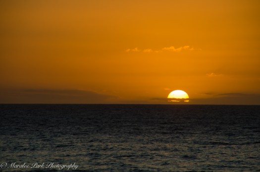 Hawaii 2014.Maralee-6753November 20, 2014