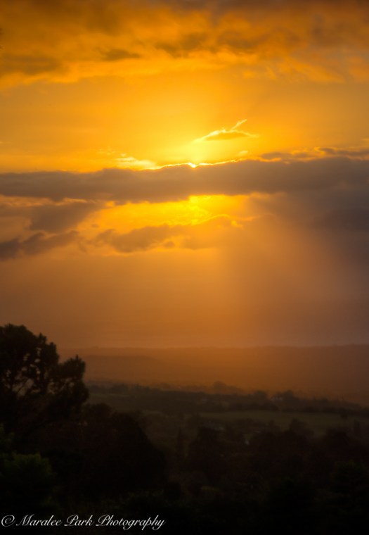 Hawaii 2014.Maralee-6888November 21, 2014And2more