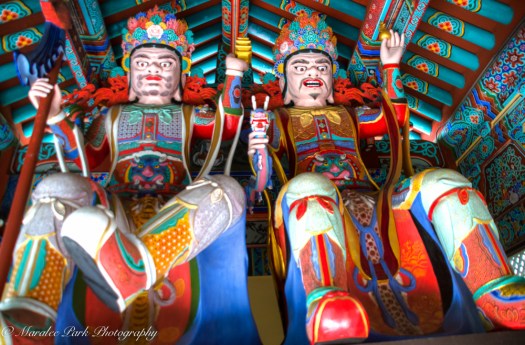 Hawaii 2014.Maralee-6375November 18, 2014And2more