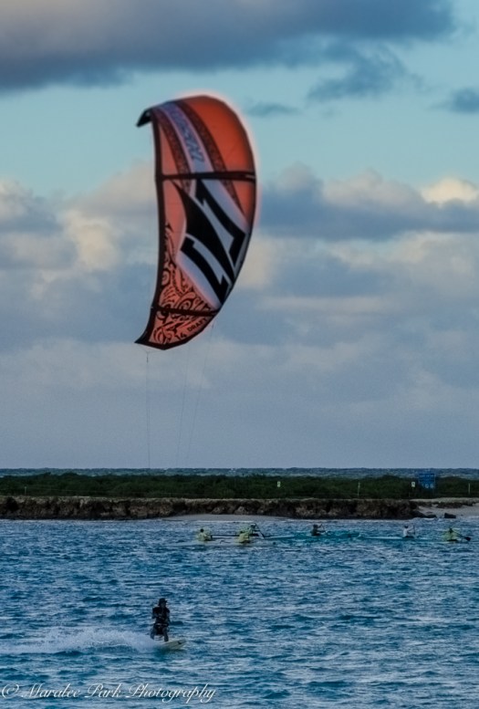 Hawaii 2014.Maralee-6517November 18, 2014