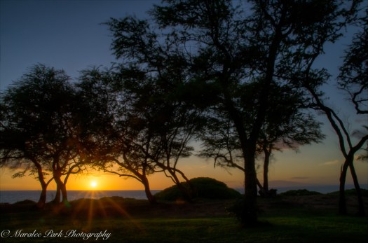 Hawaii 2014.Maralee-6606November 19, 2014