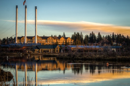 Old Mill-8089January 24, 2015And2more