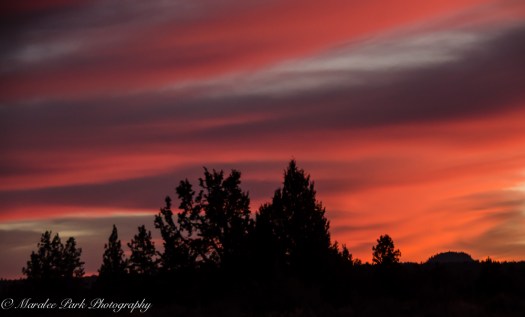 Old Mill-8180January 24, 2015