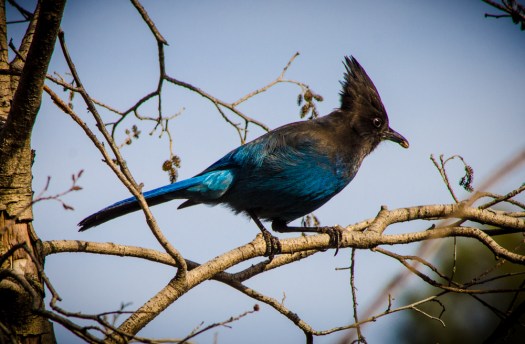 Baby Shower9177February 13, 2015