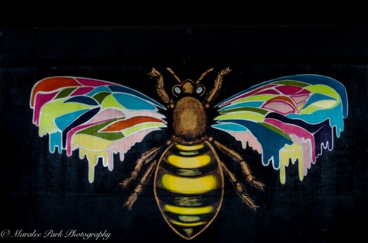 Charlie_Colleen-9739March 13, 2015