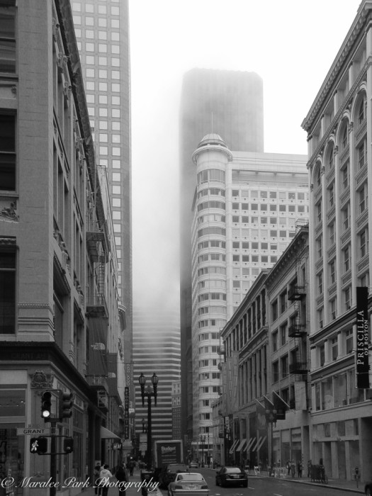 Maralee_Park_091031_05224