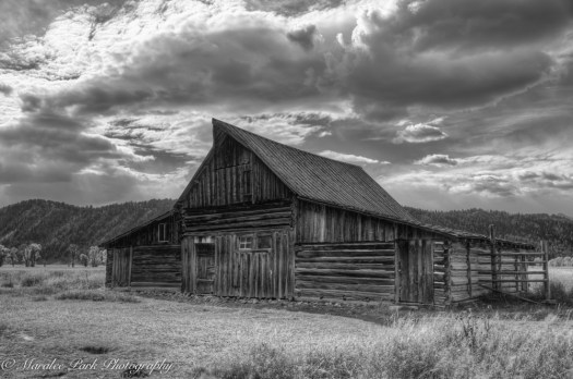 Maralee_Park_101015_09253_7-2