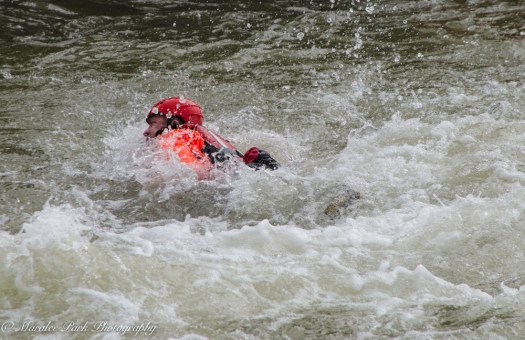 Wildlife-9787March 16, 2015