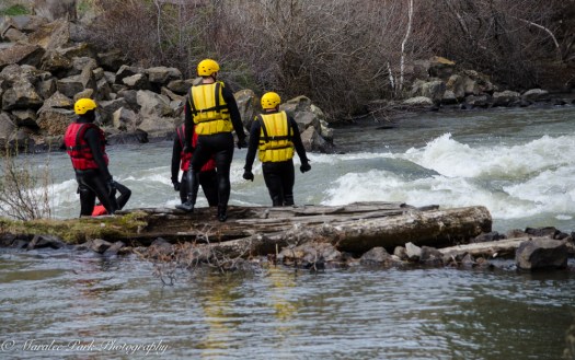 Wildlife-9792March 16, 2015