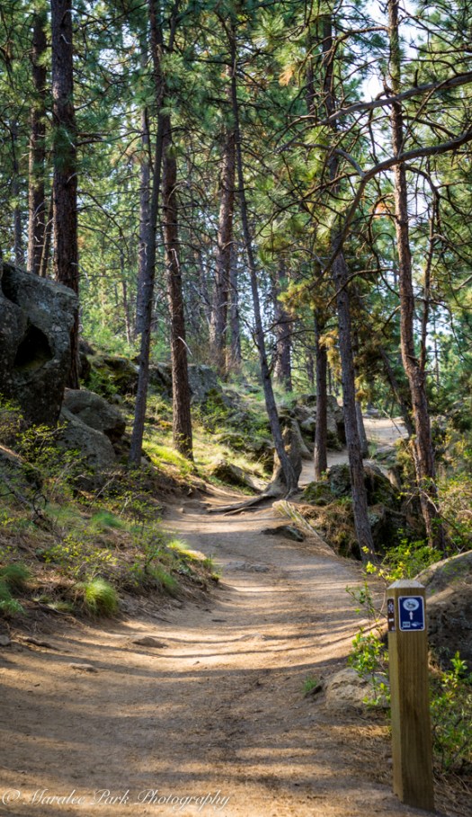 Orchids-00204April 19, 2015