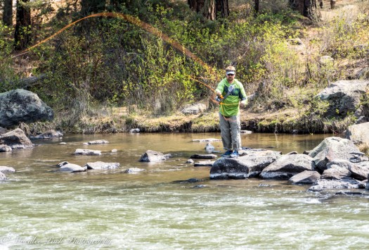 Orchids-00225April 19, 2015