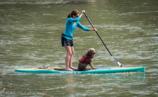 Orchids-00231April 19, 2015