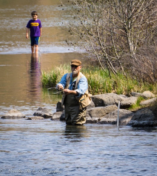 Orchids-00243April 19, 2015