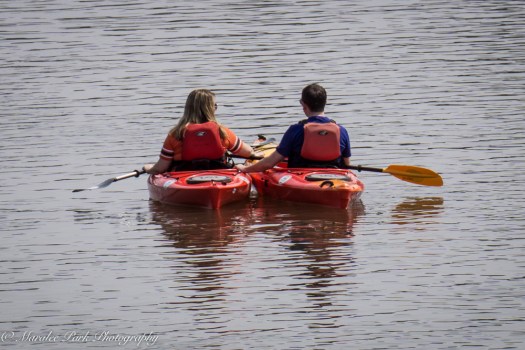 Orchids-00247April 19, 2015