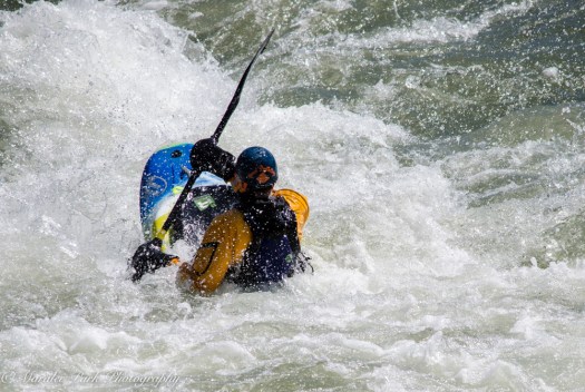 Nature-1152April 29, 2015