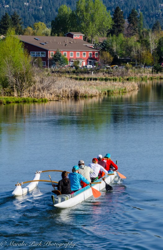 Nature-1341May 01, 2015