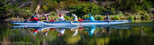 Nature-1373May 01, 2015